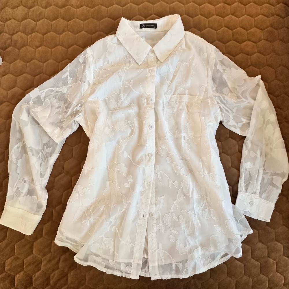 White Sheer Button-Up Blouse